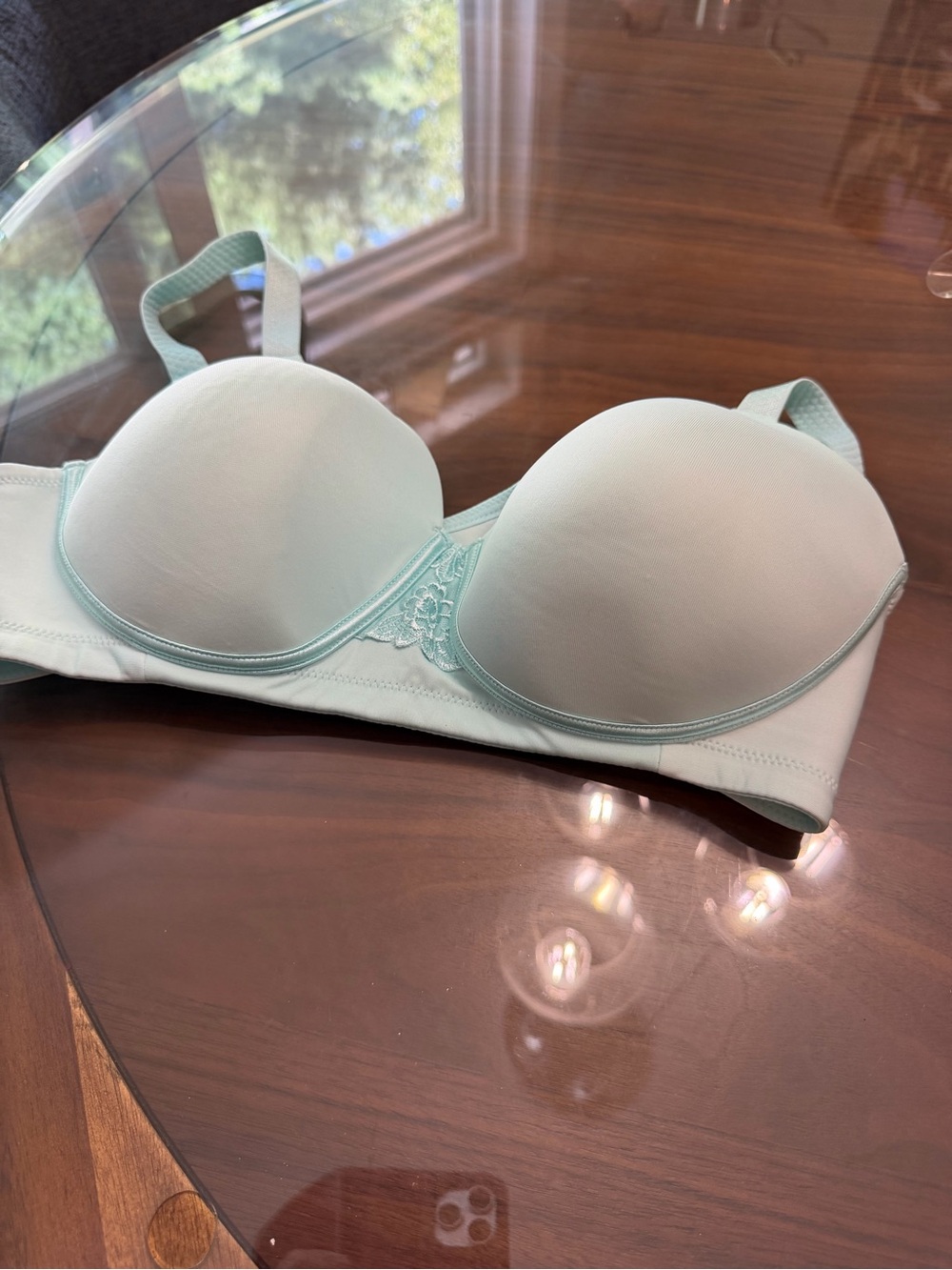 Vanity Fair Mint Green Smooth Padded T-Shirt Bra